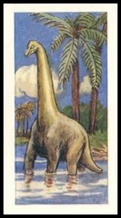 10 Cetiosaurus